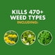 thumbnail image 2 of Eliminador de maleza Spectracide Weed Stop para céspedes con crabgrass 5 L, 2 of 9