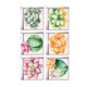 thumbnail image 5 of 6pcs 13x13cm efecto 3d antideslizante impermeable pegatina ba?era plantas suculentas, 5 of 5