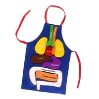 Bothyi - Delantal De Anatomía Delantal De Órganos Educación De La Primera Infancia Para Preescolar Escolar