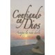 thumbnail image 1 of Libro Unilit: Confiando en Dios aunque la vida duele, 1 of 1