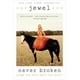 thumbnail image 1 of Libro Penguin – Never Broken: Las canciones son solo la mitad de la historia, 1 of 1