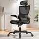 thumbnail image 1 of Silla de oficina ergonómica Marsail de malla, respaldo alto y ajuste regulable, 1 of 7