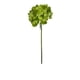 thumbnail image 2 of Hortensia Verde Oscura 52cm Con Textura Realista, 2 of 3