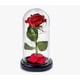 thumbnail image 2 of Rosa Eterna Con Cúpula Roja, 2 of 3