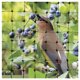 thumbnail image 5 of Red para pájaros Greenscapes, 4,3 x 4,3 m, malla gris reutilizable, 5 of 7