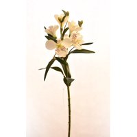 Vadell - Astromelia Blanca 61 Cm