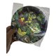 thumbnail image 3 of Pack 10 Platos Tortugas Ninja 18cm Fiesta Cumpleaños Verde, 3 of 6