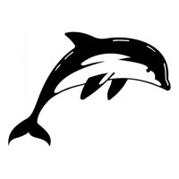 Rienda Libre Graphics - Decomural Diving Dolphin Under The Sea Ws-15851