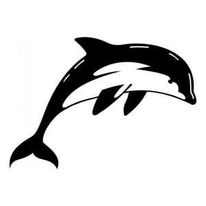 Rienda Libre Graphics - Decomural Diving Dolphin Under The Sea Ws-15851