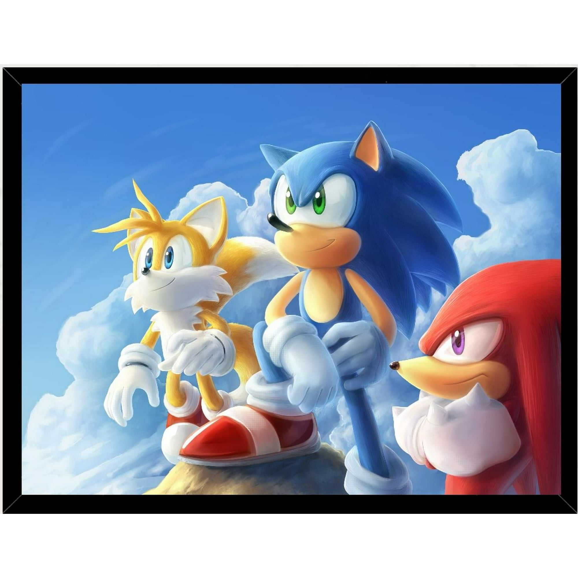 Genérico - Cuadro Decorativo Sonic Medidas 30x40 Cm