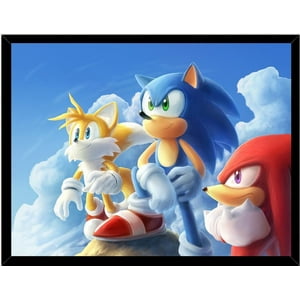 Genérico - Cuadro Decorativo Sonic Medidas 30X40 Cm