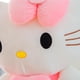 thumbnail image 3 of Peluche de Hello Kitty de 25 cm, bonito gato, suave, regalo de cumpleaños para niñas., 3 of 5