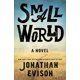 thumbnail image 1 of Novela Small World de Dutton, 1 of 1