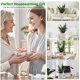 thumbnail image 5 of Planta artificial BTHM DSGN 56 cm realista en maceta, 5 of 7