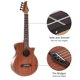 thumbnail image 3 of Ukelele VANPHY 58 cm Eléctrico Kit de Concierto, 3 of 9