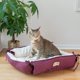 thumbnail image 5 of Cama para gato Armarkat 2 en 1 con tapete de felpa para gato, borgoña/ivorio, 5 of 6
