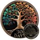 thumbnail image 1 of Set de regalo de monedas Sobriety con chip AA MilestoneMint Tree of Life, 1 of 8