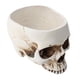 thumbnail image 1 of Maceta De Hormigón Con Forma De Calavera De Halloween Para Bricolaje, 1 of 5