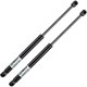 thumbnail image 1 of Liftgate Struts OEM Fit for Lexus RX350 RX450h 2010–2015 with Power Gate, 1 of 3