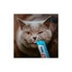 thumbnail image 3 of Churu Gatitos / Kitten Atún (4 Tubos X 14 Grs.), 3 of 6