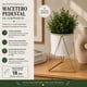 thumbnail image 5 of Porta Macetero Pedestal Maceta Plantas Decoracion Pequeño blanco, 5 of 9