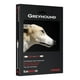 thumbnail image 2 of Cable RCA para subwoofer AudioQuest Greyhound de 3 m, blanco (GHOUND03), 2 of 2