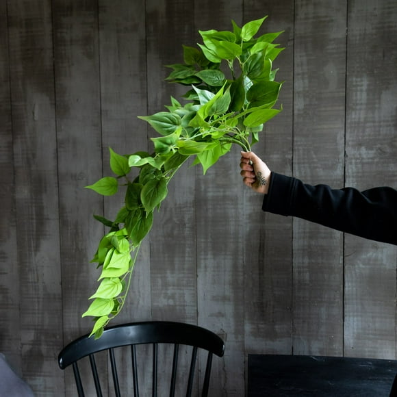 Enredadera colgante con 166 hojas verdes de 75 cm