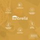 thumbnail image 5 of Almohada RSH DECOR Sunbrella para exteriores 66 cm x 41 cm (2 piezas), 5 of 6