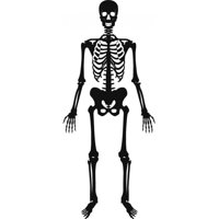 Rienda Libre Graphics - Decomural Skeleton Halloween Ws-18641