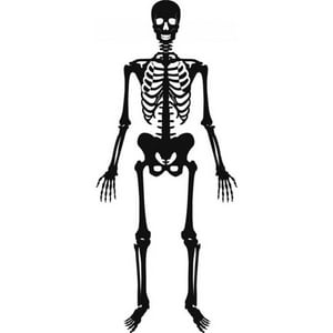 Rienda Libre Graphics - Decomural Skeleton Halloween Ws-18641