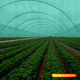 thumbnail image 3 of Malla Raschel Verde 2,1 x 100 mts Sombra 65% Qrubber, 3 of 3
