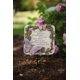 thumbnail image 2 of Piedra de Jardín Conmemorativa Evergreen 25 cm para Exterior – Regalo, 2 of 7