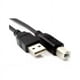 thumbnail image 2 of Cable De Impresora Y Scanner A-b De 1.5 Metros Con Usb 2.0, 2 of 3