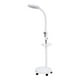 thumbnail image 1 of Lupa Con  Luz Led Con Pedestal y ruedas, 1 of 3