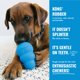 thumbnail image 5 of Juguete KONG Neumáticos de Goma Natural Azul para Cachorro Pequeño, 5 of 8