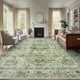 thumbnail image 1 of AMADA HOMEFURNISHING Alfombra vintage lavable de 229 x 305 cm, 1 of 9