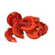 thumbnail image 5 of Aislador de vallas LockJawz T-Post naranja, 5 of 9