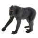 thumbnail image 1 of Figura De Acción De Modelo De Animal Estático Para Ni?os Y Adultos Macaca Nigra, 1 of 5