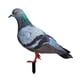 thumbnail image 5 of Estaca de jardín de paloma, arte de patio, letrero realista de Metal para jardín, inserto de suelo de pájaro, Animal para patio trasero, decoración de 31x30x01 cm, 5 of 5