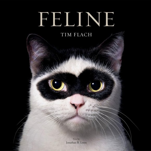 Abrams Books Felinos: Fotografías