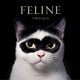 thumbnail image 1 of Abrams Books Felinos: Fotografías, 1 of 1