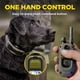thumbnail image 4 of Collar electrónico Dogtra 1900X para 2 perros con mando a distancia, alcance de 1200 m, 4 of 9