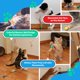thumbnail image 5 of Bouncy Tails – Juguete de bola para gato interactivo con plumas (Pack de 3), 5 of 8
