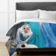 thumbnail image 2 of Frozen Bedding Sets Cartoon Duvet Cover Lightweight 3 Piece Bet Sets for Kids Boys Girls, 2 of 5