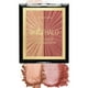 thumbnail image 1 of Set de colorete e iluminador wet n wild MegaGlo Flash Me, 1 of 3