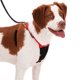 thumbnail image 3 of Arnés para Perro Sporn Yuppie Puppy Nylon Mesh Negro M Antitirones, 3 of 3