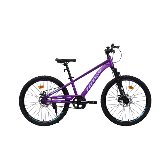 Bicicleta Mtb Aro 24 Lyra Color Morado