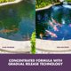 thumbnail image 4 of Tabletas para eliminar lodo de estanque Nature's Core 140 m² 1,8 kg, 4 of 7
