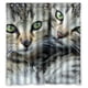 thumbnail image 1 of Cortina de ducha de gato Brothers, juego de cortina de baño con ganchos, tamaño 66 x 72 pulgadas, 1 of 3