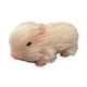 thumbnail image 5 of Silicone Baby Pig Juega Muñeca De Cerdo Recién Nacido Para Niños De Juego De Roles, 5 of 5
